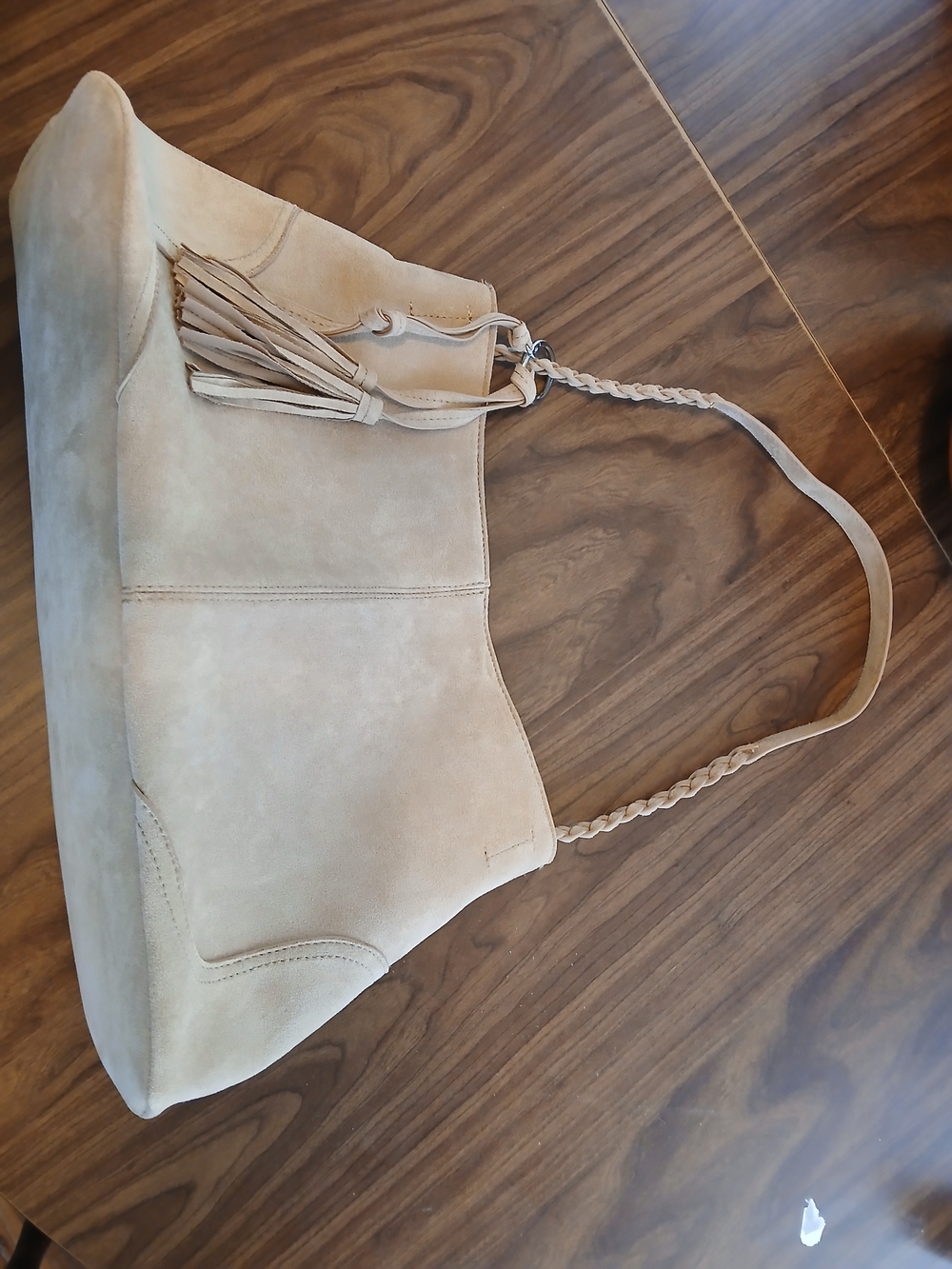 Suede Tassel Shoulder Bag in Beige